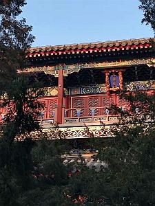 2023 02 05  PEKIN - WANSHOU TEMPLE LONGEVITE BIENVEILLANCE (35)